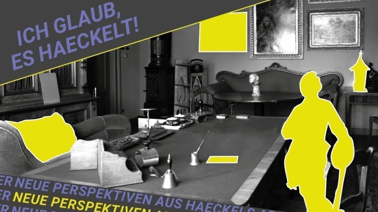 Haeckels study with mit marked objects