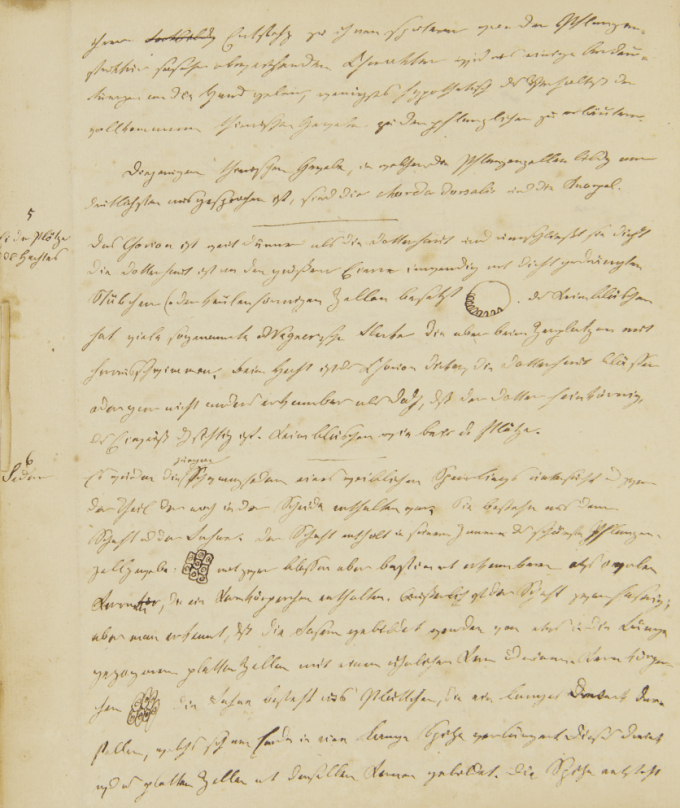 Theodor Schwann, „Ideen naturwissenschaftlichen Inhalts“, Band 1 (1838-1866)