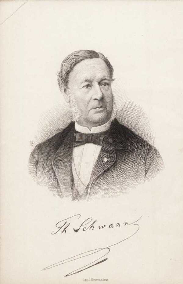 Portrait von Theodor Schwann (Lithografie)