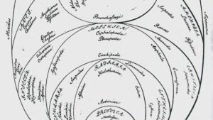 Schematische Darstellung der Lebenszusammenhänge in Eiform